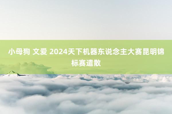 小母狗 文爱 2024天下机器东说念主大赛昆明锦标赛遣散