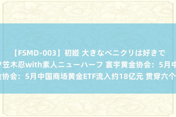 【FSMD-003】初姫 大きなペニクリは好きですか！？ ニューハーフ笠木忍with素人ニューハーフ 寰宇黄金协会：5月中国商场黄金ETF流入约18亿元 贯穿六个月终了正需求