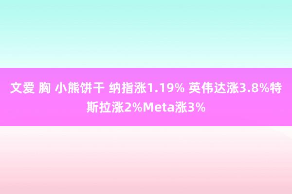 文爱 胸 小熊饼干 纳指涨1.19% 英伟达涨3.8%特斯拉涨2%Meta涨3%