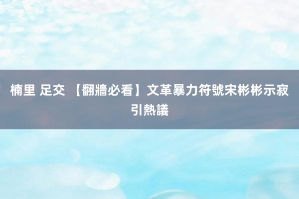 楠里 足交 【翻牆必看】文革暴力符號宋彬彬示寂引熱議