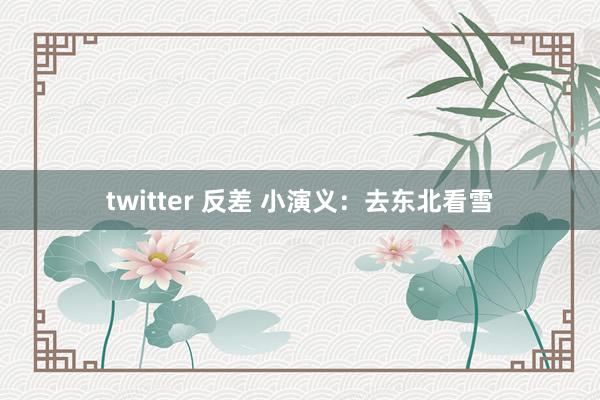 twitter 反差 小演义：去东北看雪